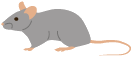 ネズミのイラスト